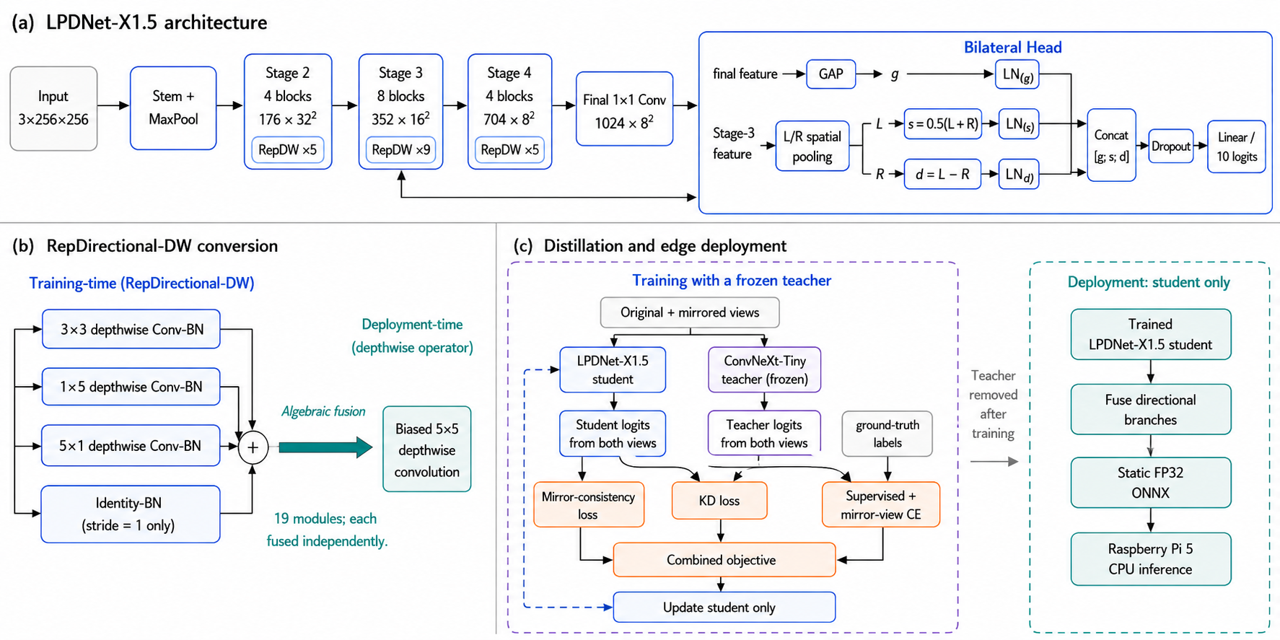 Executed LPDNet-X1.5 architecture, per-module reparameterization, and training-to-edge workflow. (a) Stages 2–4 contain 5, 9, and 5 RepDirec-tional-DW modules; the Stage-3 lateral feature enters the bilateral head. (b) Each of the 19 modules is fused individually into its own biased 5×5 depthwise convolution. (c) Original and mirrored views enter both the student and frozen teacher. Original- and mirrored-view classification, mirror consistency, and two-view KD form the objective that updates only the student. After training, the teacher is removed and the fused static FP32 ONNX student runs on the Raspberry Pi 5 CPU.