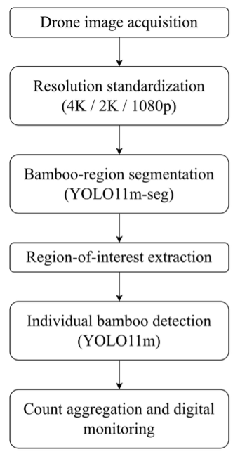 Overall resolution-standardized segmentation–detection workflow.