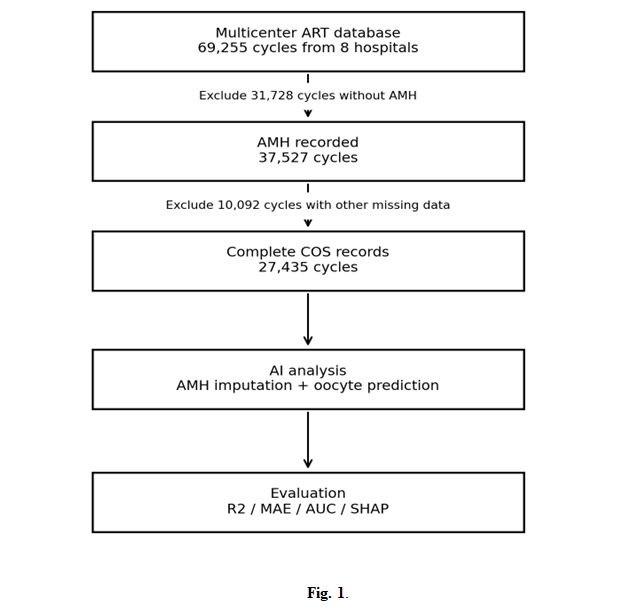 Study population selection and analytical workflow. AMH was artificially masked only after complete cases had been selected, permitting comparison between imputed and observed values.